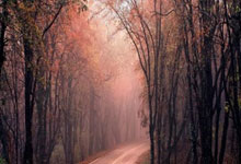 马其顿队首次晋级，欧洲杯成绩史无前例