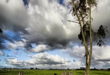 斯图加特大胜对手，豪取关键三分