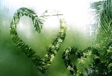 伯恩茅斯主场失分，关键时刻输球