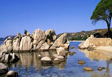 武藏上演帽子戏法，帮助马赛纳轻松取胜